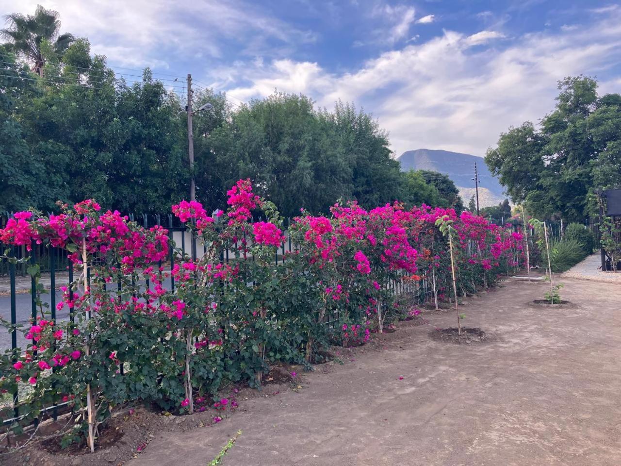 Die Dorpshuis Graaff-Reinet Esterno foto