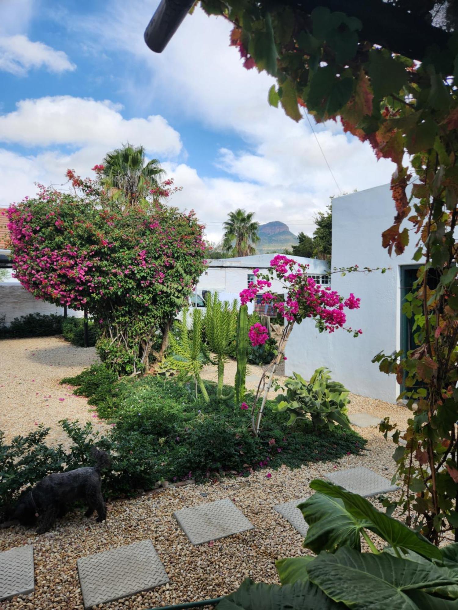 Die Dorpshuis Graaff-Reinet Esterno foto