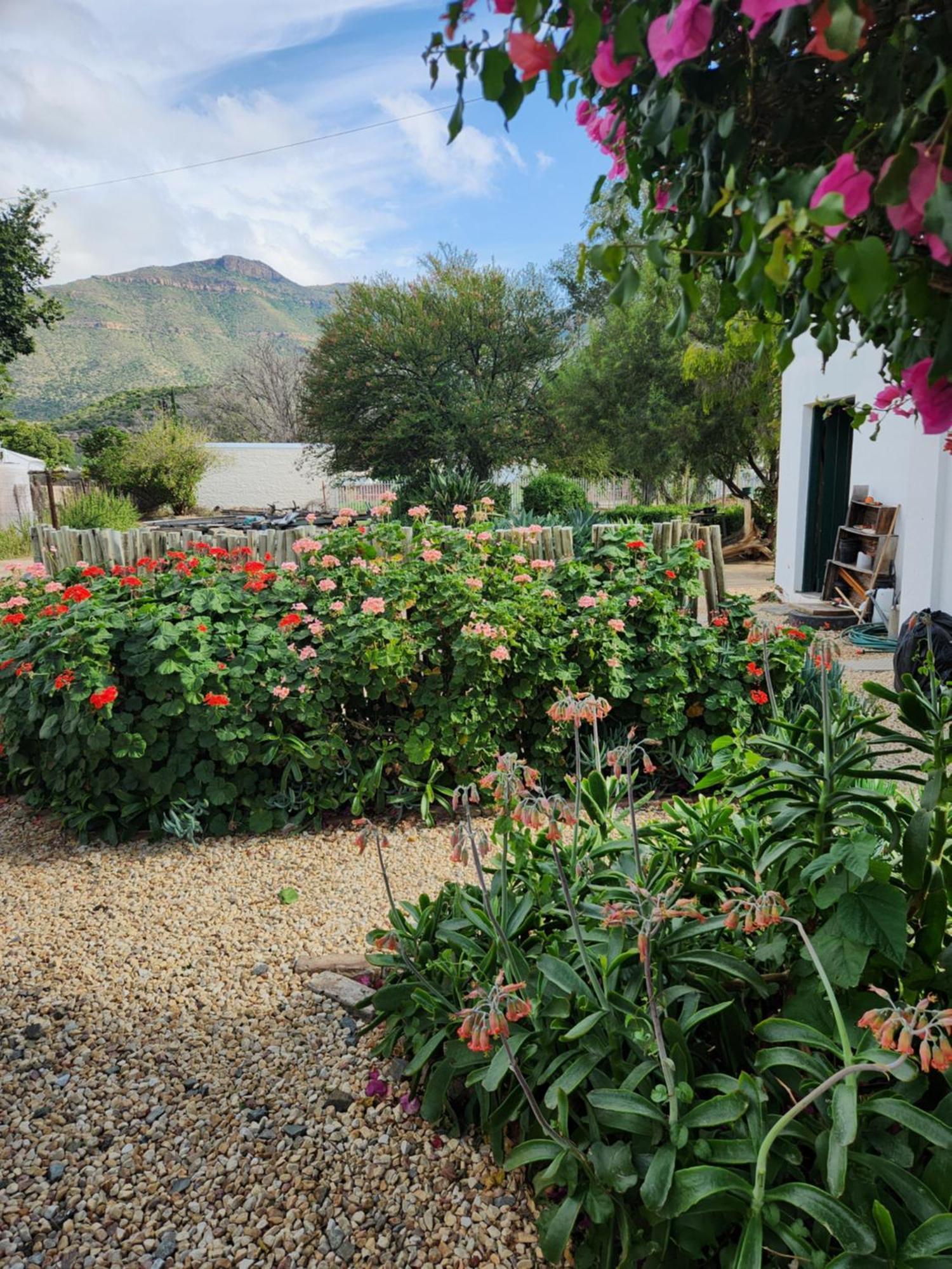 Die Dorpshuis Graaff-Reinet Esterno foto